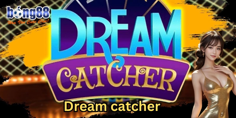 Lộ trình cơ bản cho người quay mới