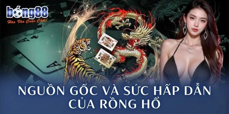 Nguồn gốc và sức hấp dẫn của rồng hổ